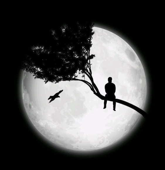 27 Melihat Bulan di Malam Hari di Pohon